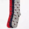 Pheasant Socks presentförpackning Pheasant Socks presentförpackning