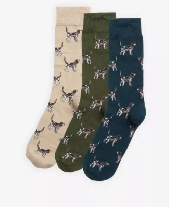 Pointer Dog-strumpor i presentförpackning